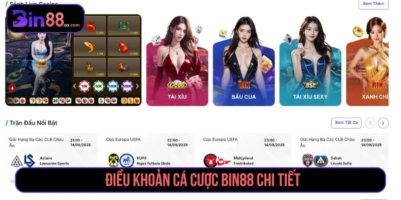 Điều Khoản Cá Cược BIN88 - Quy Định Tài Khoản, Kèo & Giao Dịch Điều khoản cá cược BIN88 về tài khoản, giao dịch và xử lý kèo