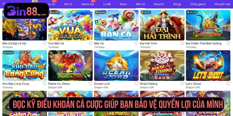 Điều Khoản Cá Cược BIN88 - Quy Định Tài Khoản, Kèo & Giao Dịch Đọc kỹ điều khoản cá cược giúp người chơi hiểu rõ quyền lợi và trách nhiệm