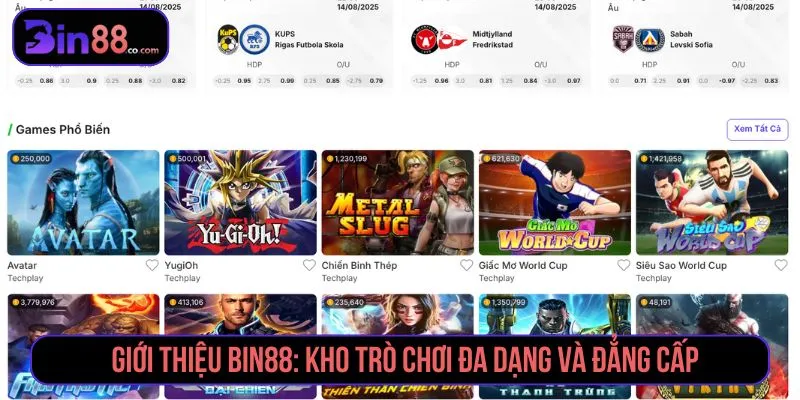 Các nhóm trò chơi tại BIN88