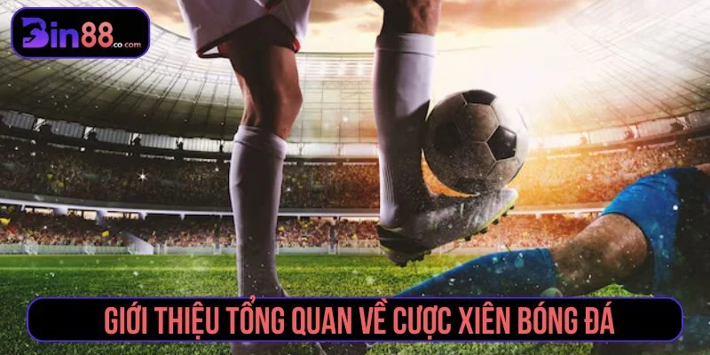 Mẹo Cược Xiên Bóng Đá - Cách Chọn Kèo Và Quản Lý Vốn Khái quát về cược xiên bóng đá