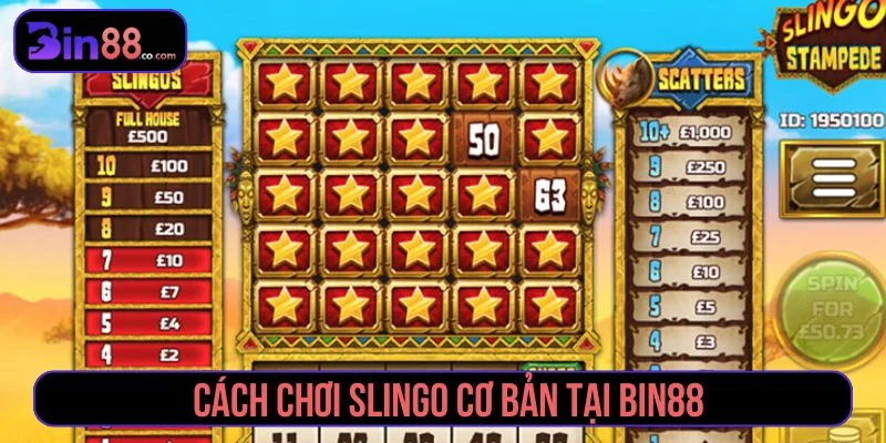 Slingo - Cách Chơi, Biểu Tượng Đặc Biệt Và Quản Lý Xu Cách chơi Slingo cơ bản