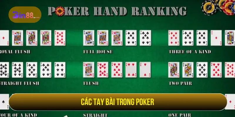 V8 Poker - Luật Chơi, Thứ Hạng Bài Và Lưu Ý Khi Vào Bàn Các tay bài trong poker