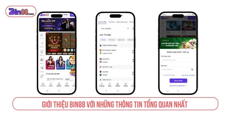 BIN88 - Nhà Cái Cá Cược, Casino & Game Bài Trực Tuyến Thông tin tổng quan về trang cá cược trực tuyến
