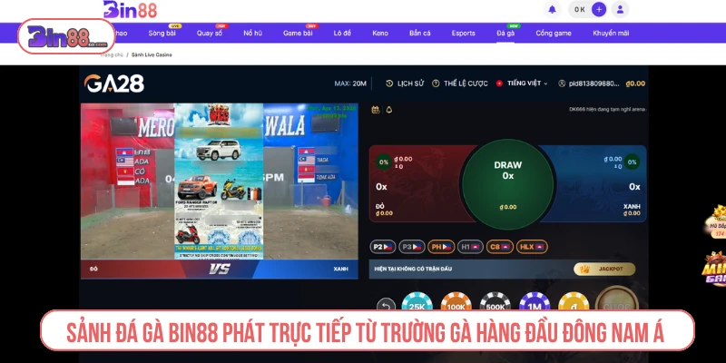 BIN88 - Nhà Cái Cá Cược, Casino & Game Bài Trực Tuyến Sảnh đá gà phát trực tiếp